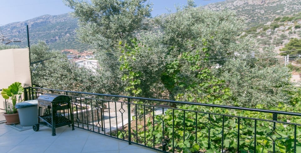 Villa Samyeli