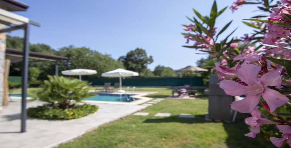 Villa Petunya Kayaköy
