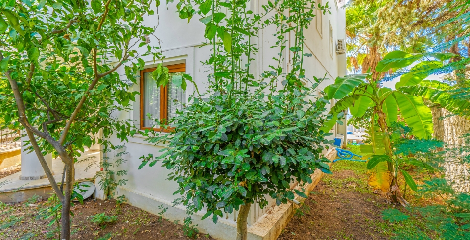 Villa Palm Kalkan