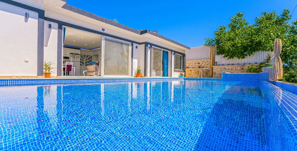Villa Samyeli Üzümlü