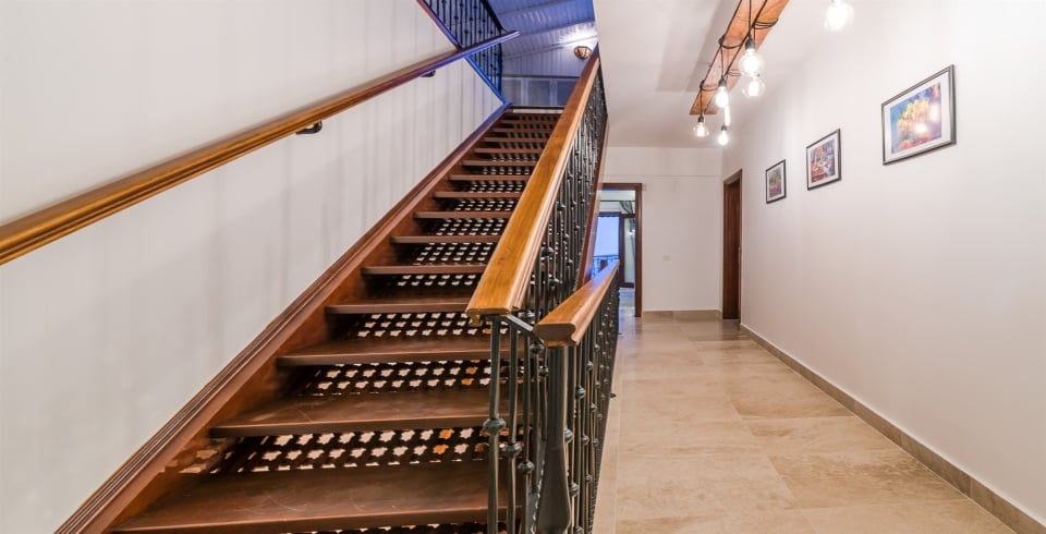 Villa Kaktüs Evi