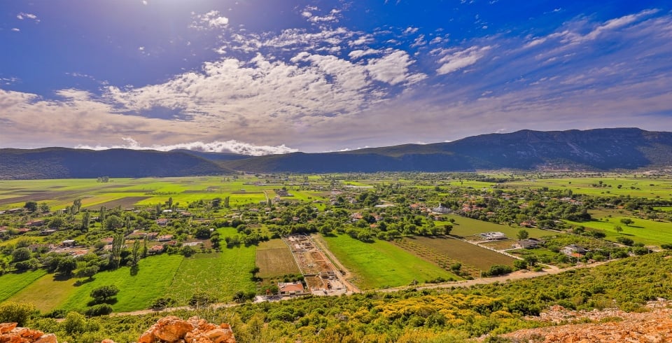 Villa Mulberry Barley