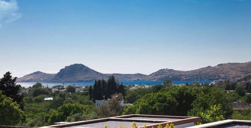 Villa Amon