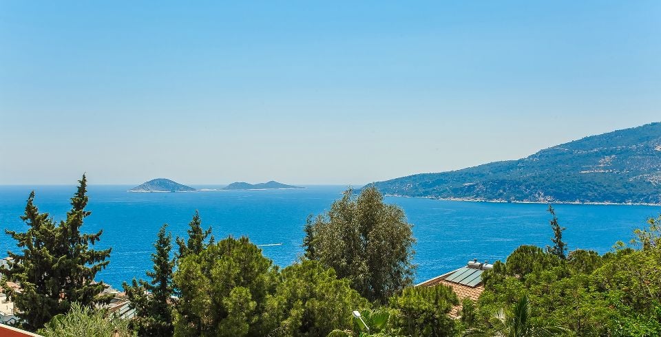 Villa Greenscape