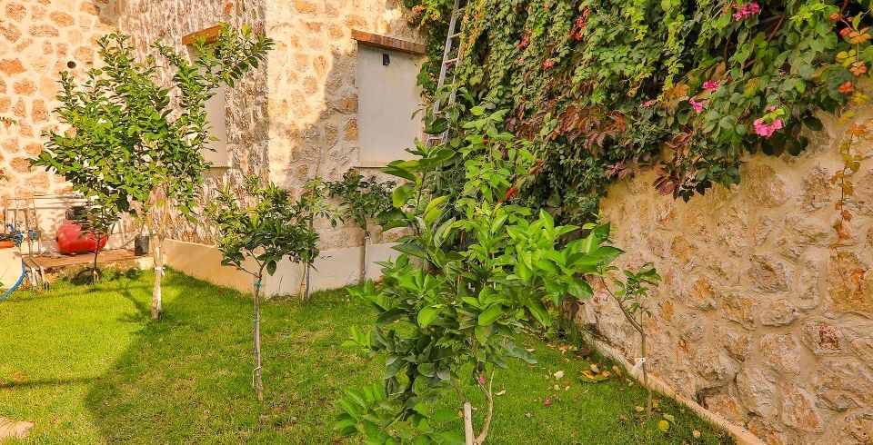 Villa Maysa
