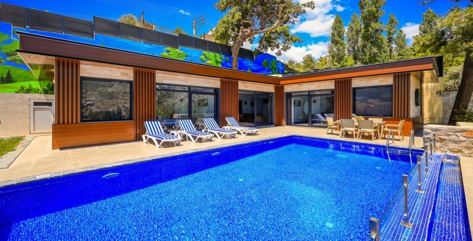 Villa Safari 2