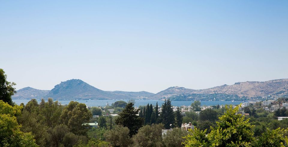 Villa Sarı Kavak
