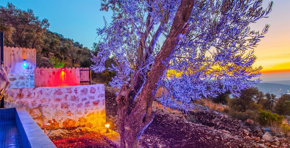 Villa Yiğit 2