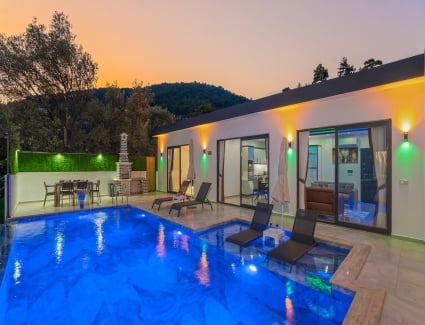 Villa Karaardıç